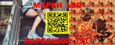 прущие грибы Донецк