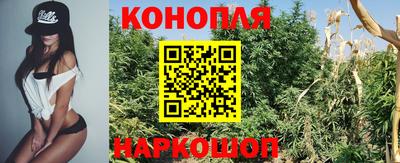 прущие грибы Донецк